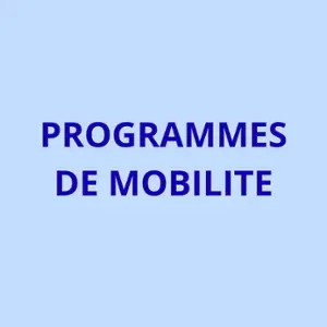 pavé programmes de mobilité
